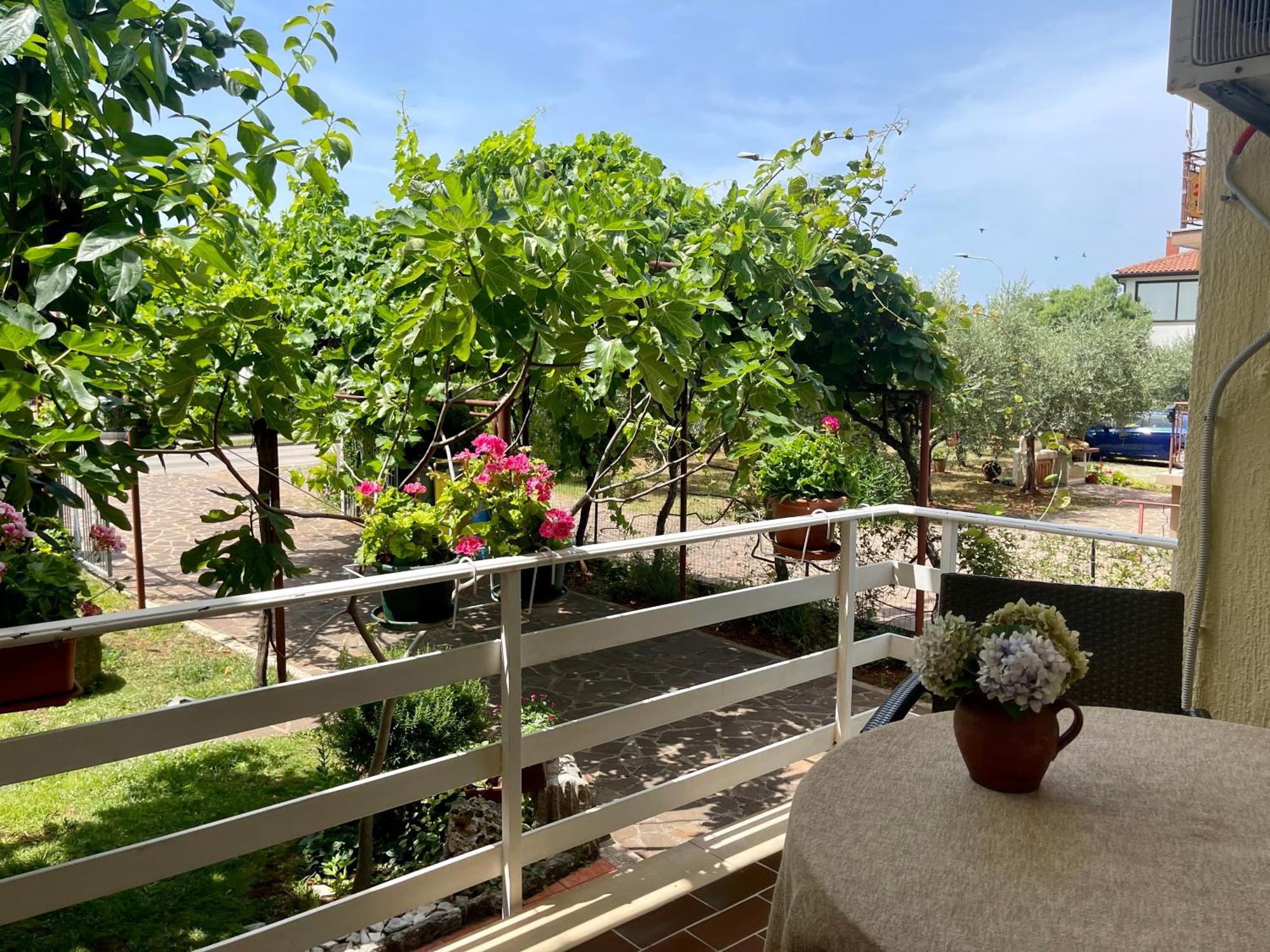 Apartments Maria Umag Luaran gambar